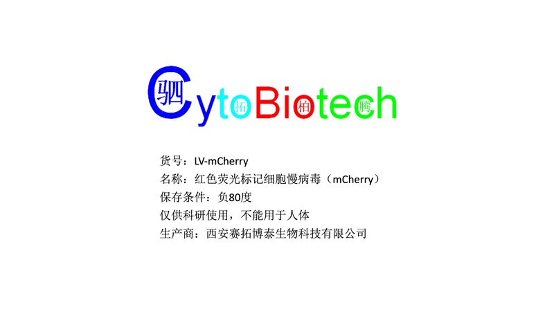 红色荧光标记细胞慢病毒（mCherry）