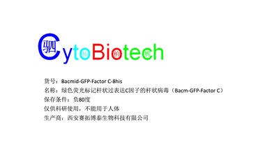 绿色荧光标记过表达C因子的杆状病毒（Bacm-GFP-Factor C）