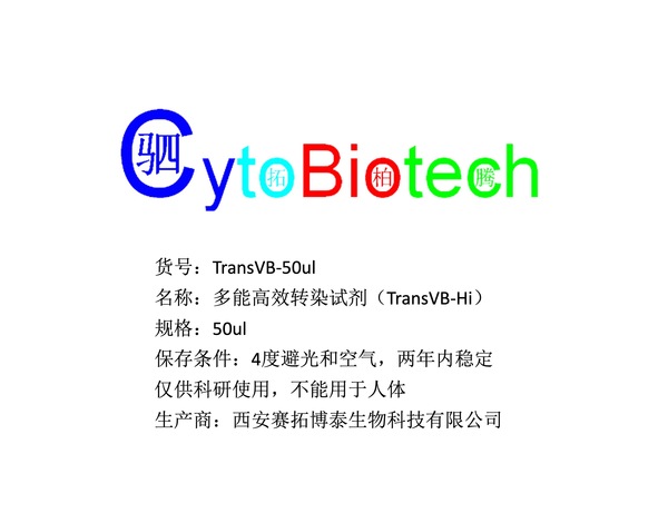 多能高效转染剂（TransVB-Hi）