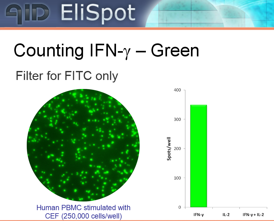 fluorospot (荧光免疫斑点分析)技术介绍